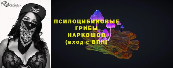 прущие грибы Абаза