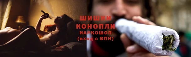 спайс Алексин