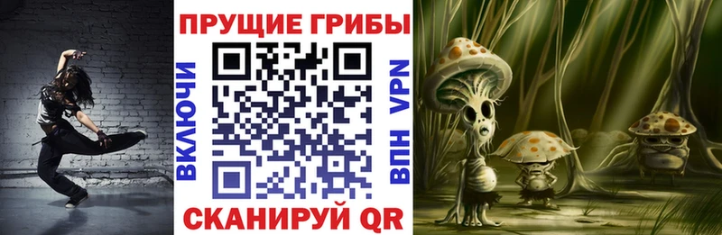 Псилоцибиновые грибы Cubensis Добрянка